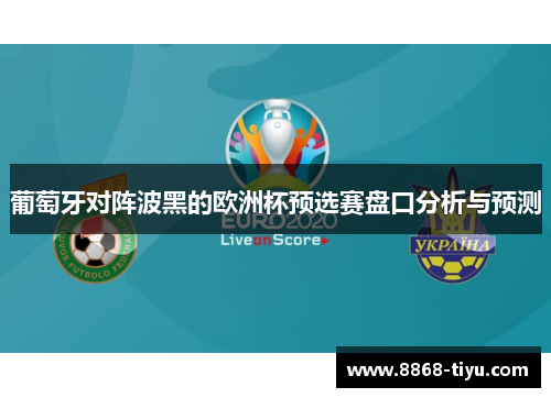 葡萄牙对阵波黑的欧洲杯预选赛盘口分析与预测